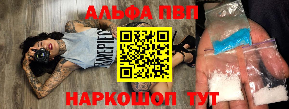 Альфа ПВП СК Североморск