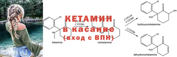 стафф Нягань