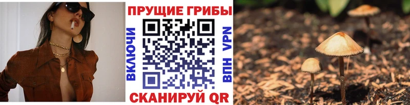 гидра ONION  Североморск  Псилоцибиновые грибы мицелий  где купить наркоту 