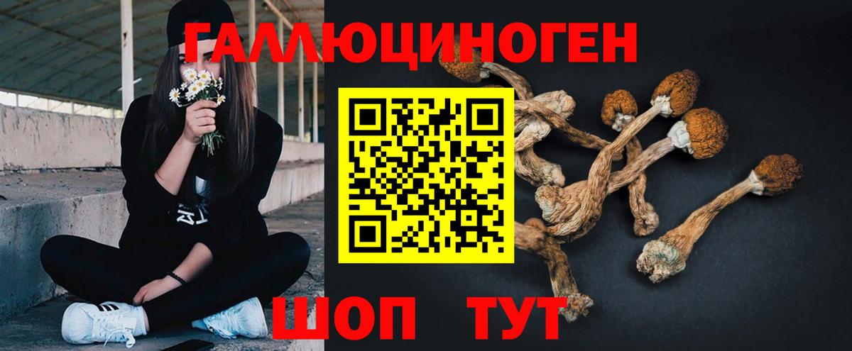 Псилоцибиновые грибы Psilocybine cubensis  Североморск  купить наркотик  Псилоцибиновые грибы Magic Shrooms 